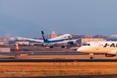 在庫より Dreamliner