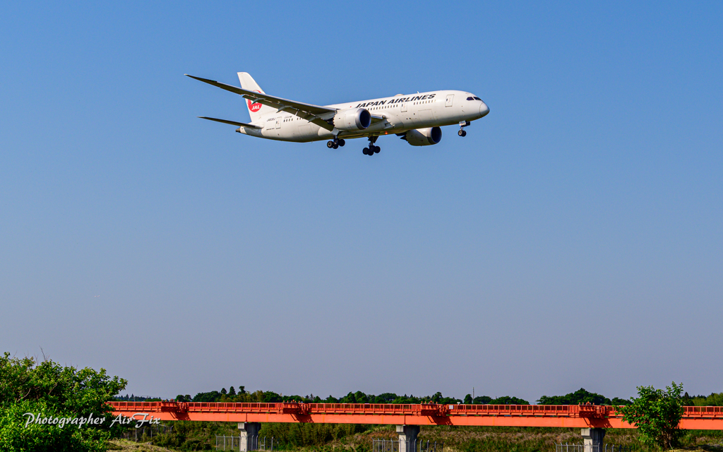 NRT グラウンド横 JAL B8 JA830J