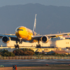 34Lエンド