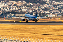 the sunrise on New Year’s Day 8