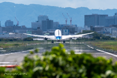 暑中お見舞い申し上げます-(_ _-)-