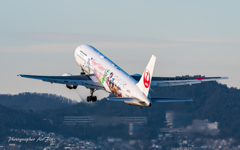 JAL JA612J-2