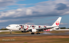 JAL JA602J Touch-down Ⅱ