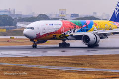 Itami Airport of rain JA741A