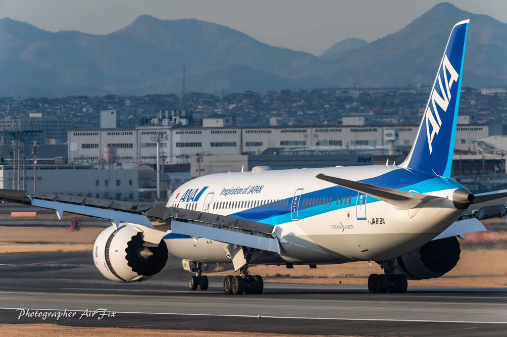 ANA JA819A Boeing 787-8 Dreamliner