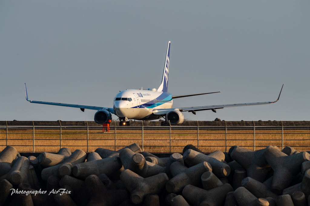 MIYAZAKI BougainvilleaAirport テトラポットとANA