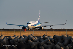 MIYAZAKI BougainvilleaAirport テトラポットとANA