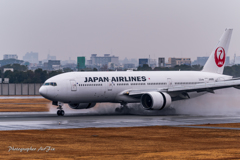 Itami Airport of rain JA8985