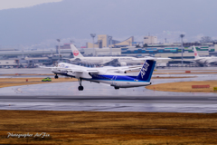 Itami Airport of rain JA848A