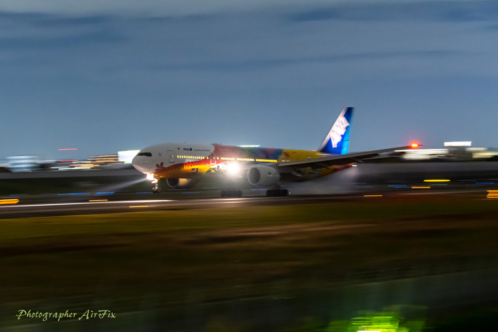ANA JA741A touch down Panning