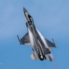 NYUTA USA F-16-Ⅱ