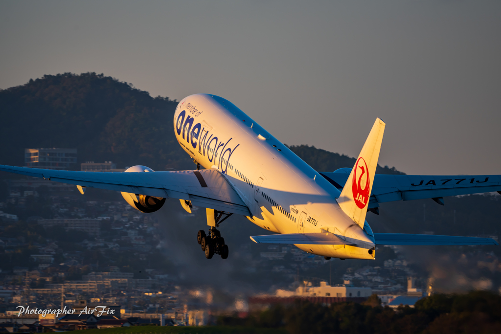 D810 JA771J