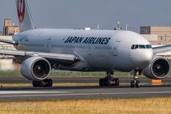 JAL JA008D
