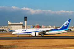 All Nippon Airways JA821A