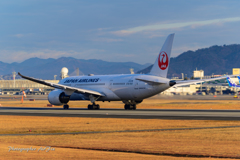 JAL B787 Ⅱ