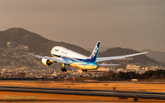 All Nippon Airways JA821A-3