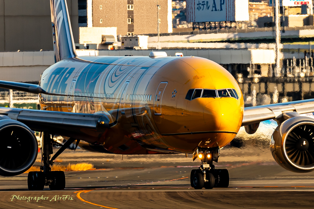 the sunrise on New Year’s Day 11