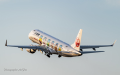JA254J しまじろうジェット
