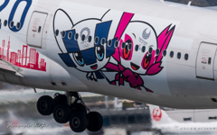 みんなのJAL2020Jet３