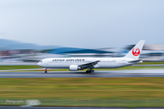 梅雨の楽しみ方 Ⅴ