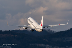 JAL JA338J 556