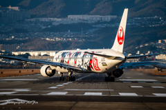 JAL JA602J  Mickey Mouse 5