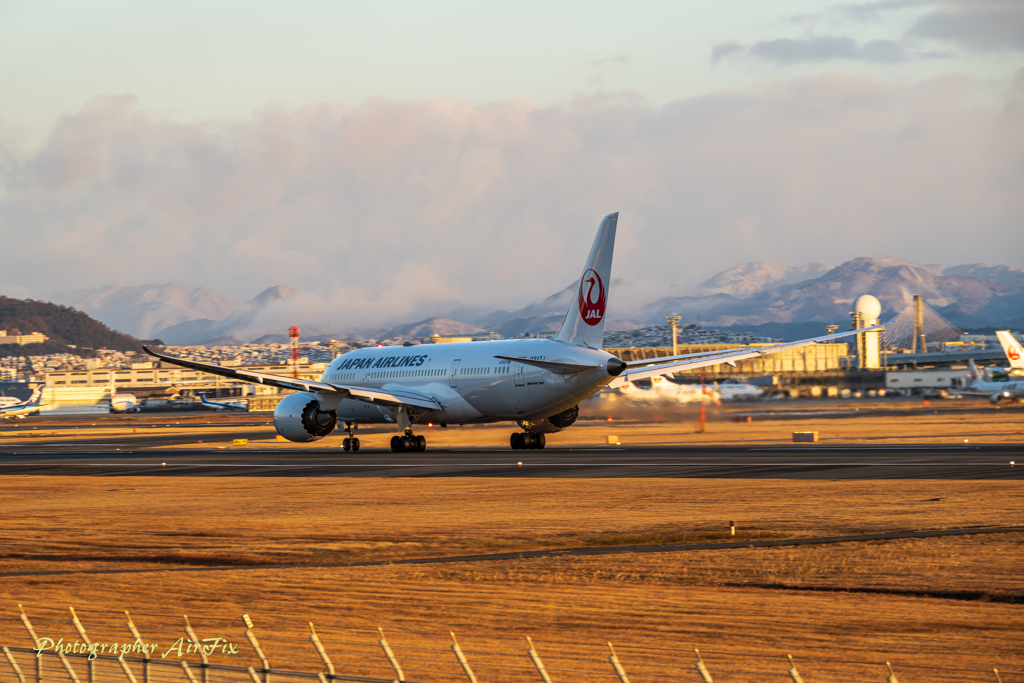元旦恒例空活シリーズ