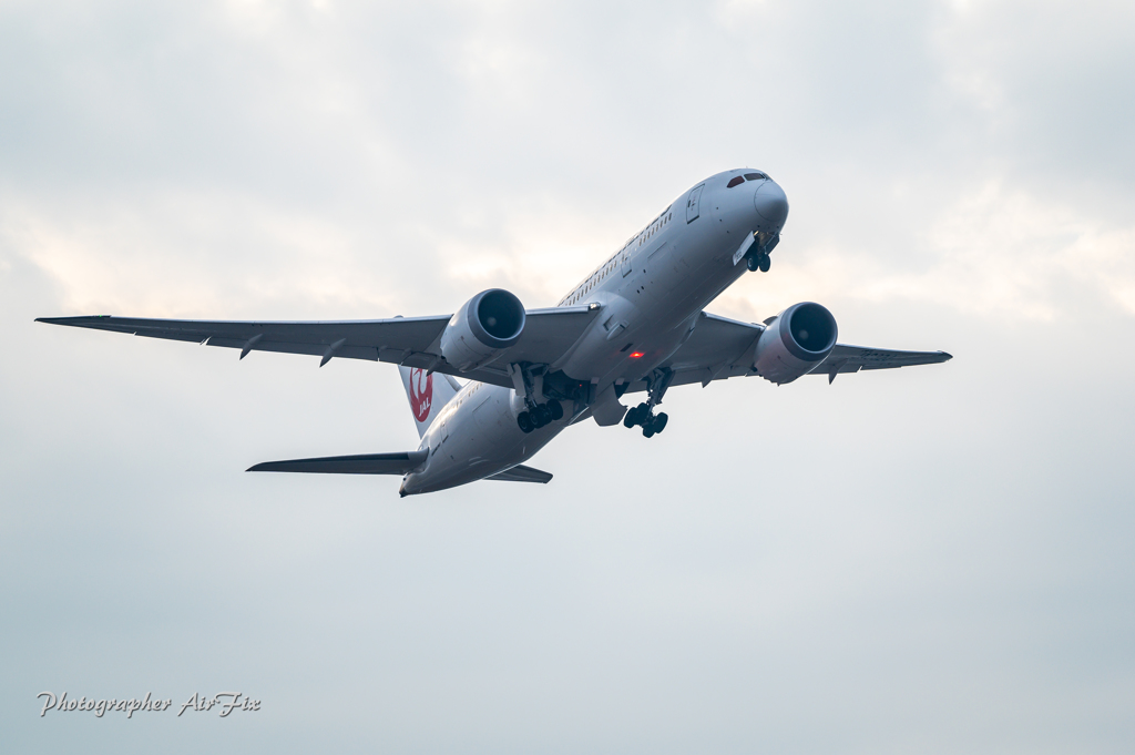 JAL Boeing 787-8 Dreamliner JA832J Ⅱ