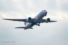 JAL Boeing 787-8 Dreamliner JA832J Ⅱ