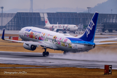 Itami Airport of rain JA85AN