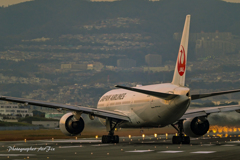 夕刻のJAL JA8977