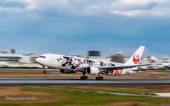 JAL JA602J take off Ⅱ_