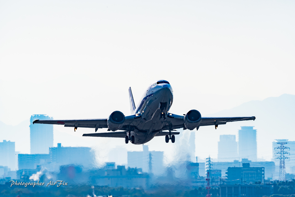 Itami morning ANA JA359K