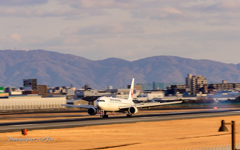 JAL JA622J Touch-down 流し