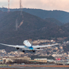 Airport in the New Year #7