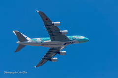 ANA A380 FLYING HONU-2 in NRT さくらの丘