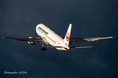 JAL JA613J
