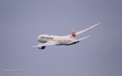 JAL Boeing 787-8 Dreamliner Left turn