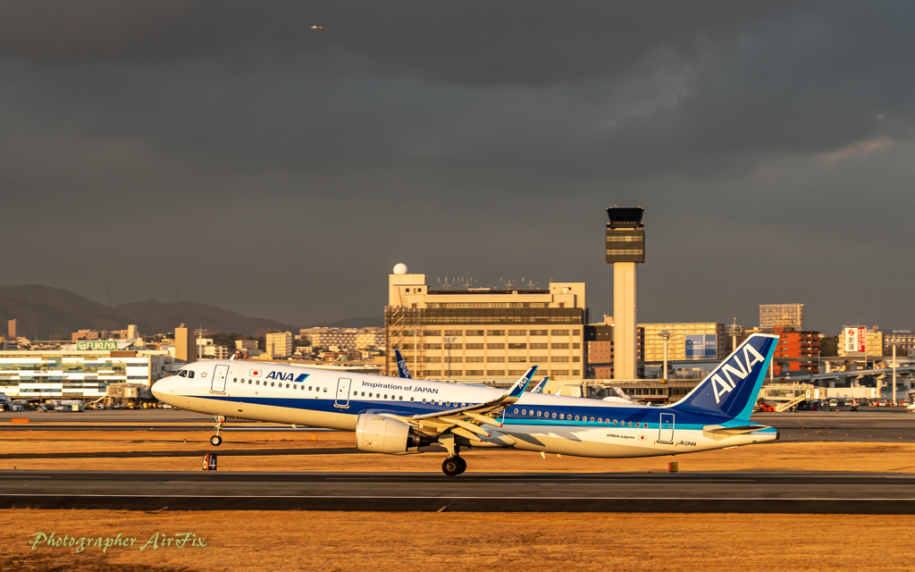 All Nippon Airways JA134A