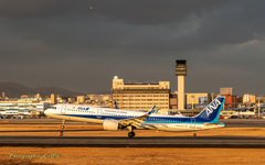 All Nippon Airways JA134A
