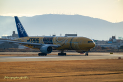 2026空港の日の出Ⅺ