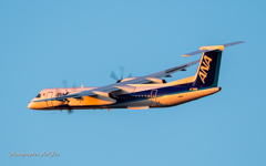 ANA WINGS Bombardier DHC-8-402Q Dash 8