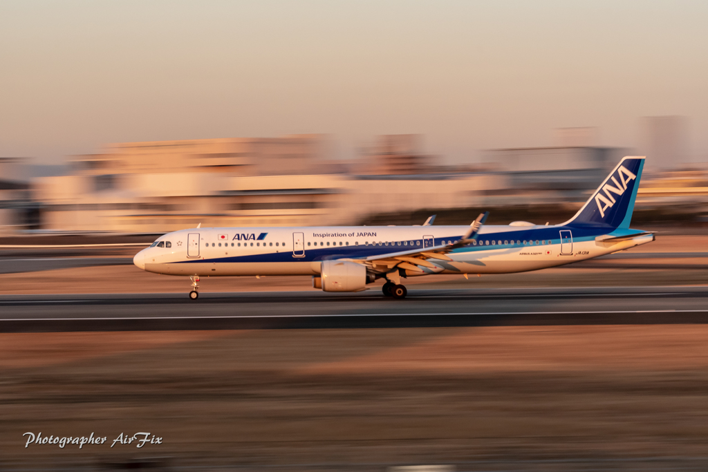 Panning check ANA JA131A