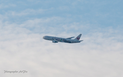 JAL JA612J-3