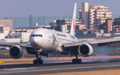 空のエコ 空のエコ