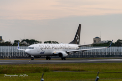 ANA STAR ALLIANCE JA51AN