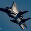JASDF 305thTactical Fighter Squadron#855
