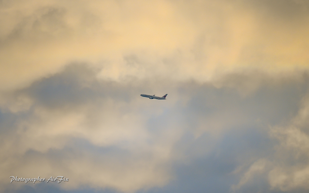 JAL Left turn