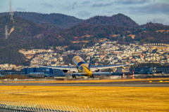 2026空港の日の出ⅩⅣ