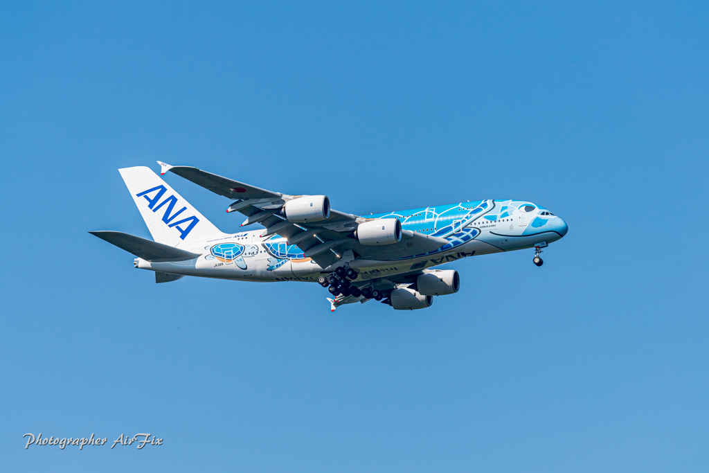 NRT さくらの里 ANA A380- Lani-